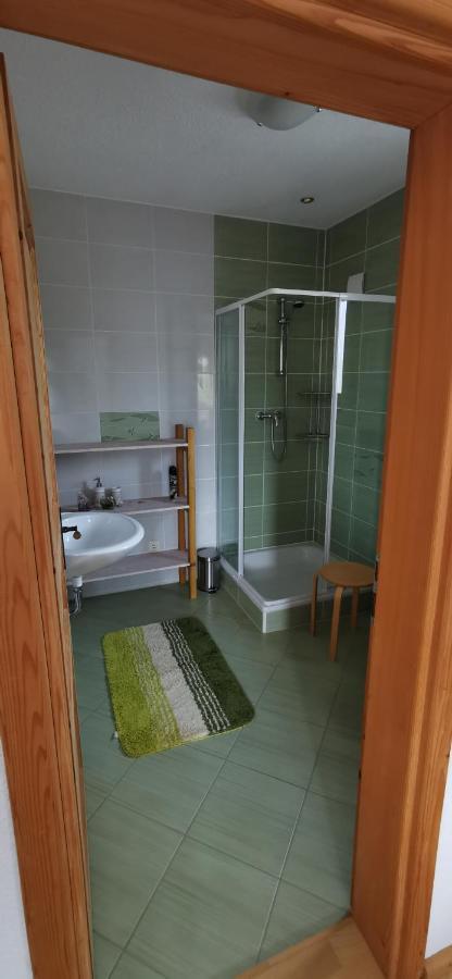 Villa Bora Moscenicka Draga Bed&Breakfast Moscenice Kültér fotó